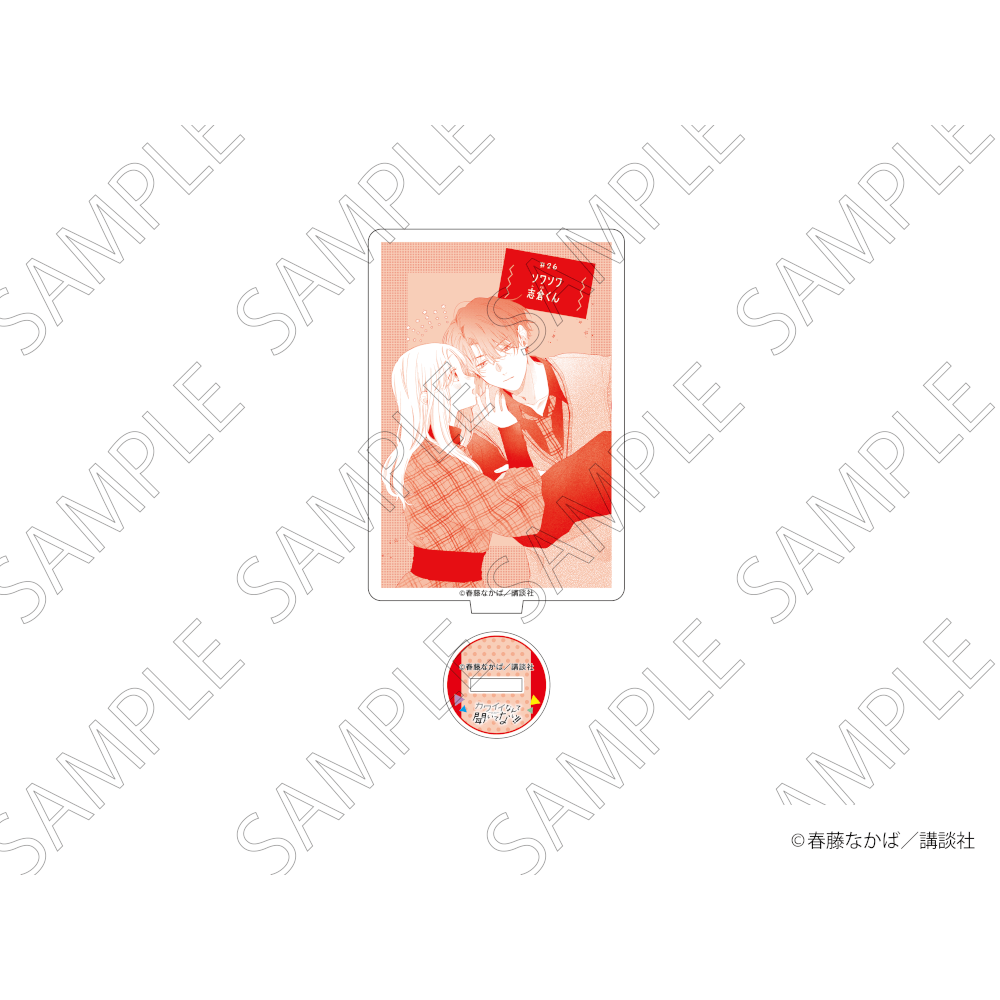 「カワイイなんて聞いてない！！」 アクリルスタンド Vol.2 A グッズ