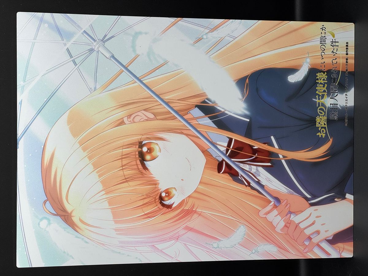 お隣の天使様にいつの間にか駄目人間にされていた件 メタリアルグラフ(椎名真昼A)