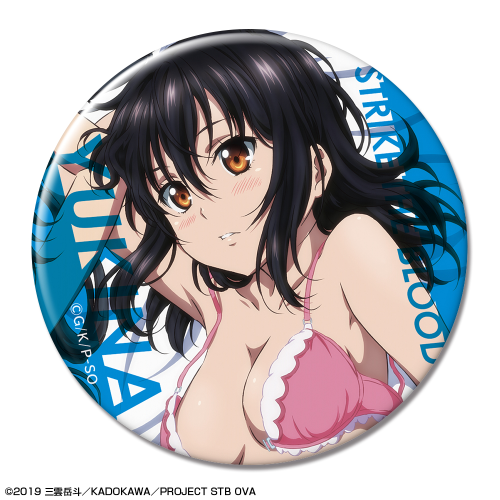 ストライク?ザ?ブラッドFINAL 缶バッジ デザイン02(姫柊雪菜/B)