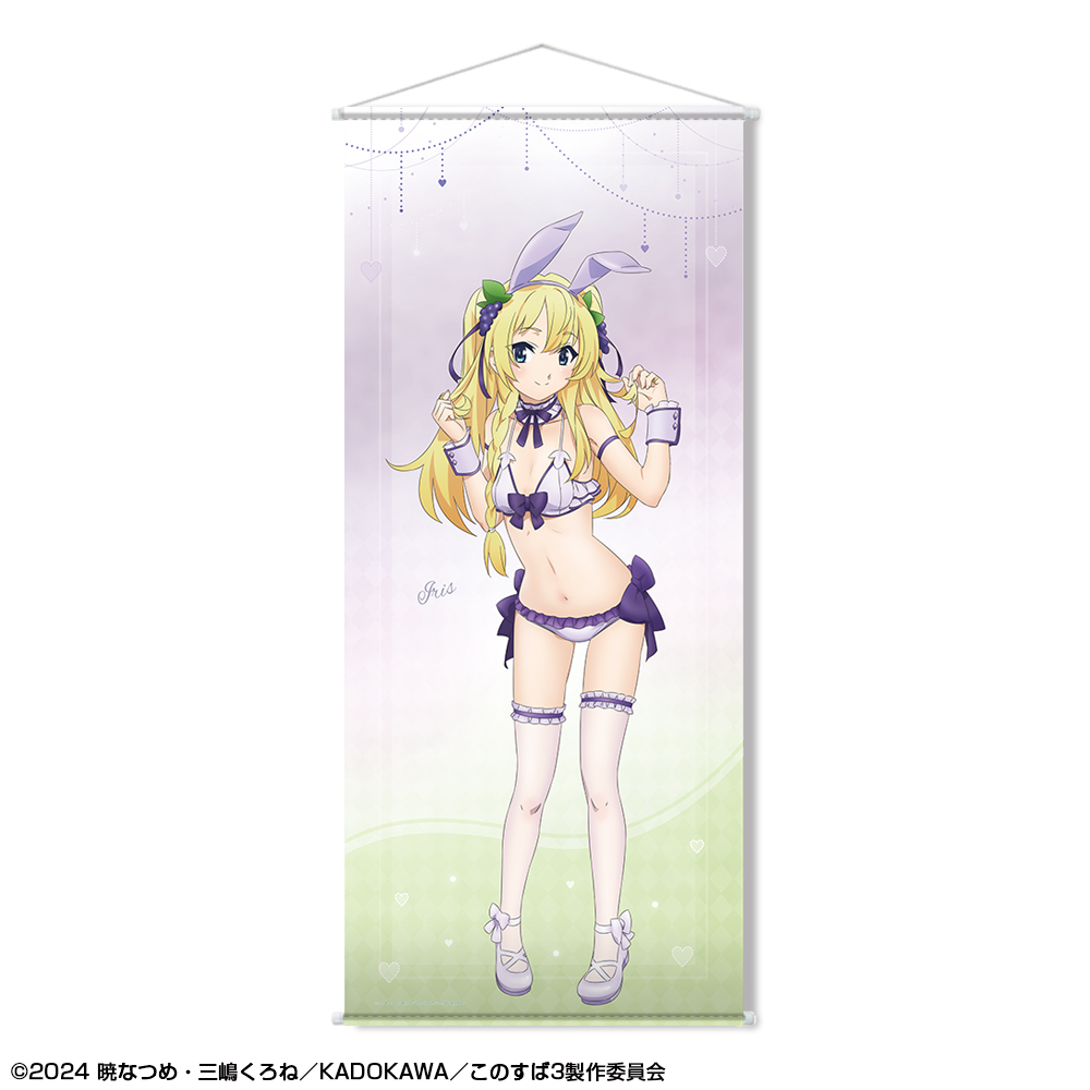 この素晴らしい世界に祝福を！3 ほぼ等身大タペストリー デザイン04(アイリス/バニー風水着ver.)【描き下ろし】